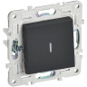 Выключатель 1-клавишный IEK SKANDY 10А SK-V07G с индикацией графит SK-V10-1-10-K53